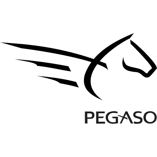 Home Pegaso Service
